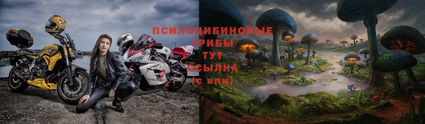 шишки Алексеевка