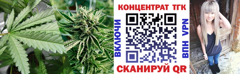 ТГК концентрат  MEGA вход  Грязовец 