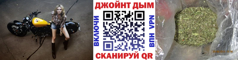 цены наркотик  Грязовец  Шишки марихуана конопля 